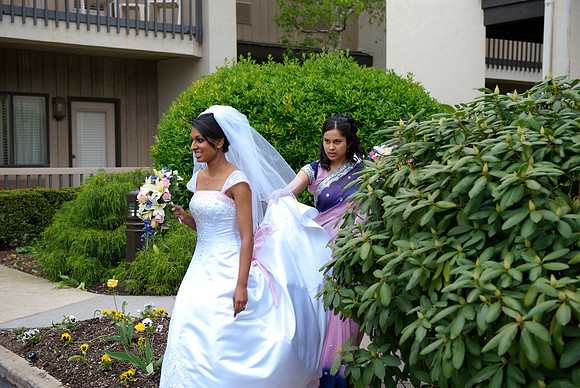 Selin Preshots