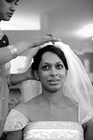 Selin Preshots