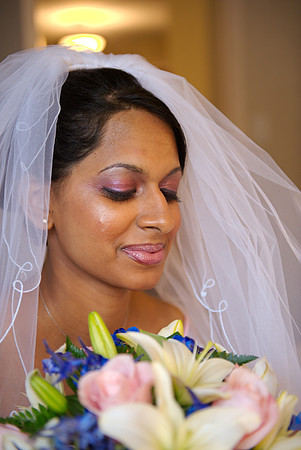 Selin Preshots