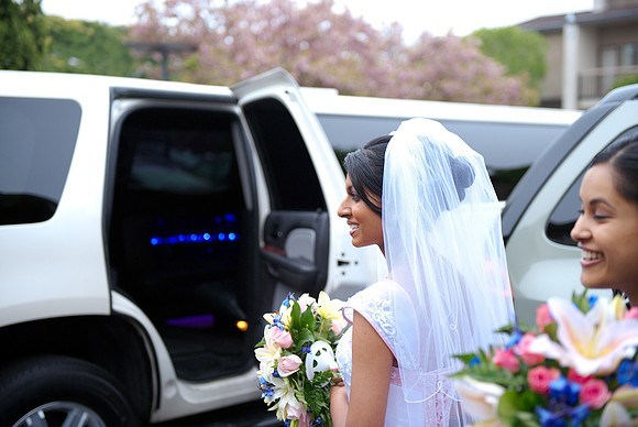 Selin Preshots