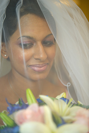 Selin Preshots