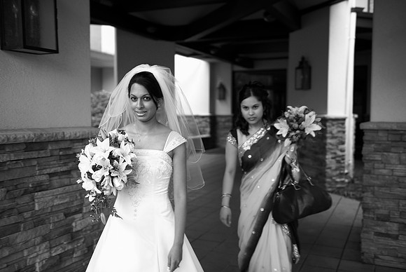 Selin Preshots