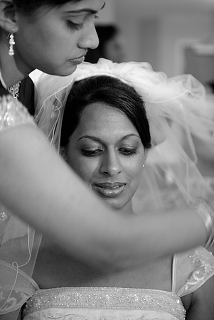 Selin Preshots