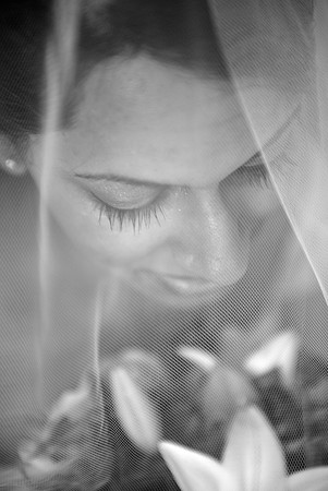 Selin Preshots